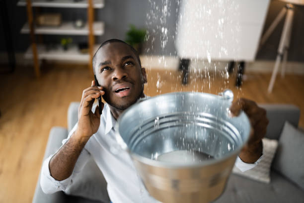 Best Water damage contractors near me  in Seminole Manor, FL