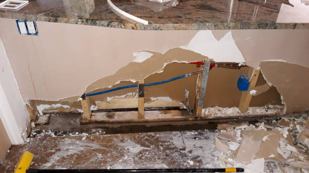 Best Water damage repair service  in Seminole Manor, FL