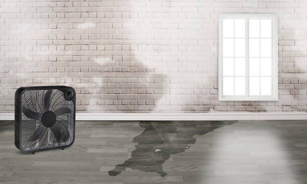  Seminole Manor, FL Water damage restoration Pros