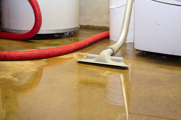 Water damage restoration insurance claims in Seminole Manor, FL