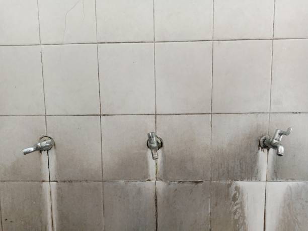 Best Emergency water damage restoration  in Seminole Manor, FL