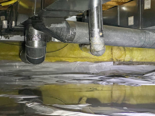 Reliable Seminole Manor, FL Water damage restoration Solutions